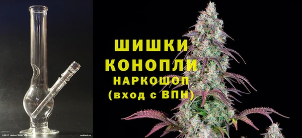 ешки Инта