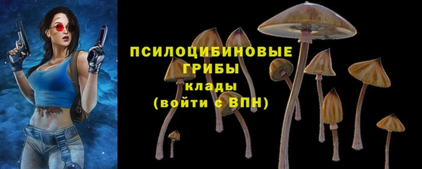 ешки Инта