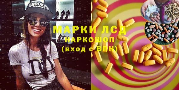 ешки Инта