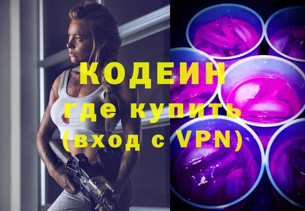 ешки Инта