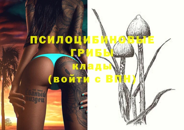 ешки Инта